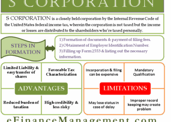 5 Advantages of S Corporations [INFOGRAPHIC] – The Incorporators