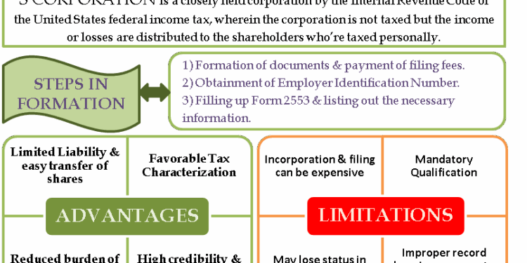5 Advantages of S Corporations [INFOGRAPHIC] – The Incorporators